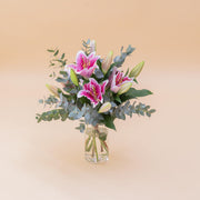 Los Lirios Rosas - Selección de lirios orientales