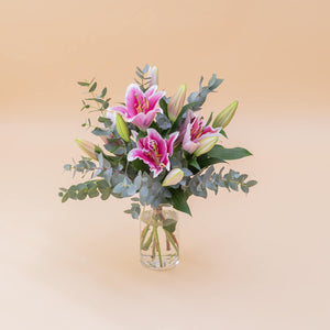 Los Lirios Rosas - Selección de lirios orientales