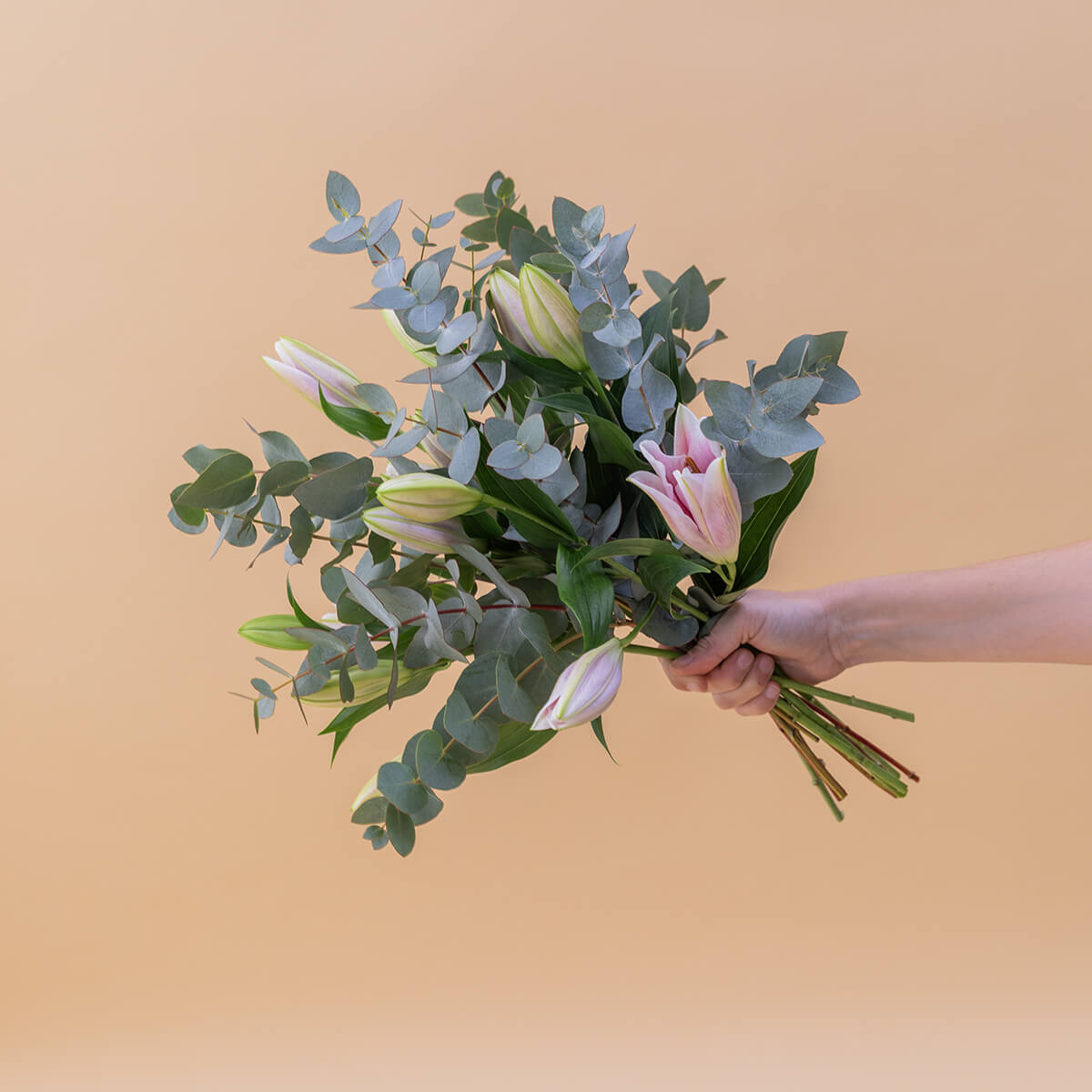 Los Lirios Rosas - Selección de lirios orientales