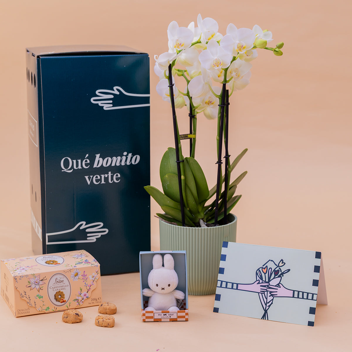 Orquídea con Galletas y Peluche