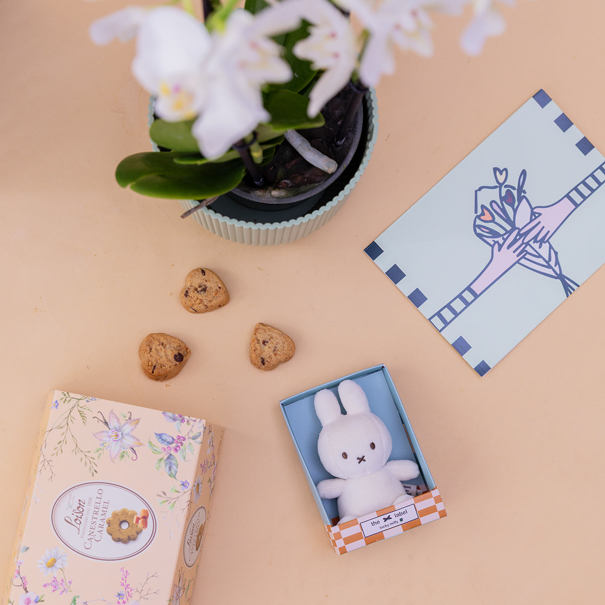 Orquídea con Galletas y Peluche