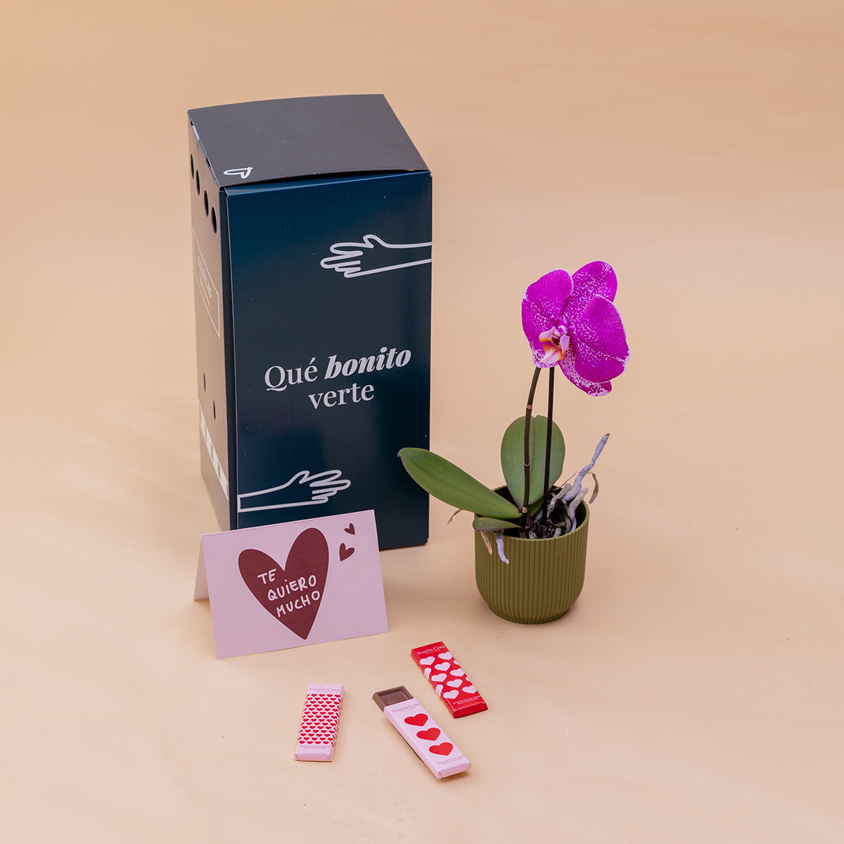 O amor está no ar – Ramo de flores com chocolate e bloco de notas