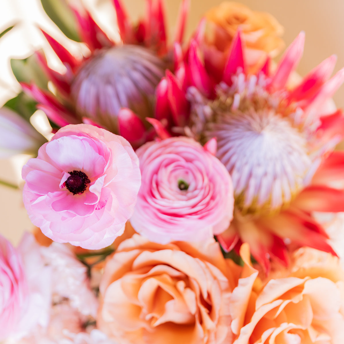 El Premium - Ramo de Proteas XL