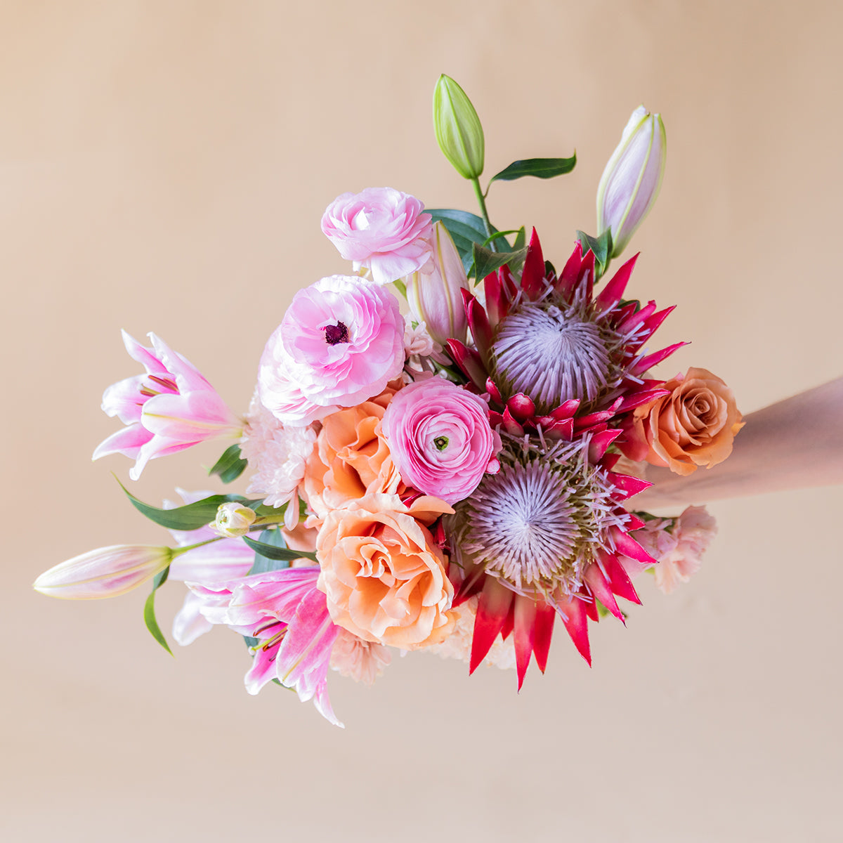 El Premium - Ramo de Proteas XL