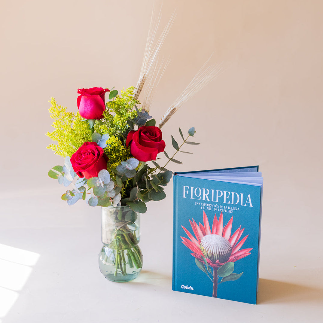 Set de Sant Jordi: Rosas rojas con Libro Floripedia
