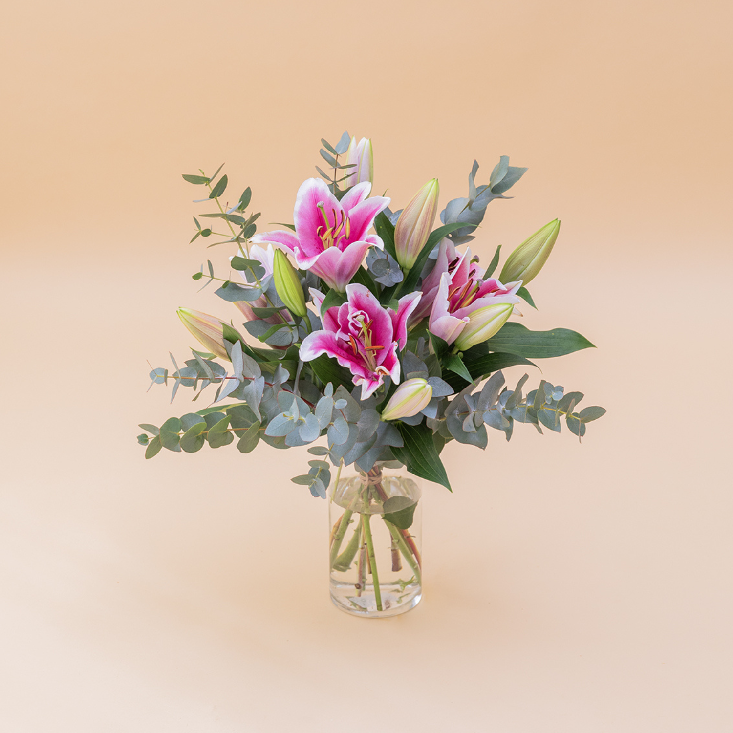 Los Lirios Rosas - Selección de lirios orientales