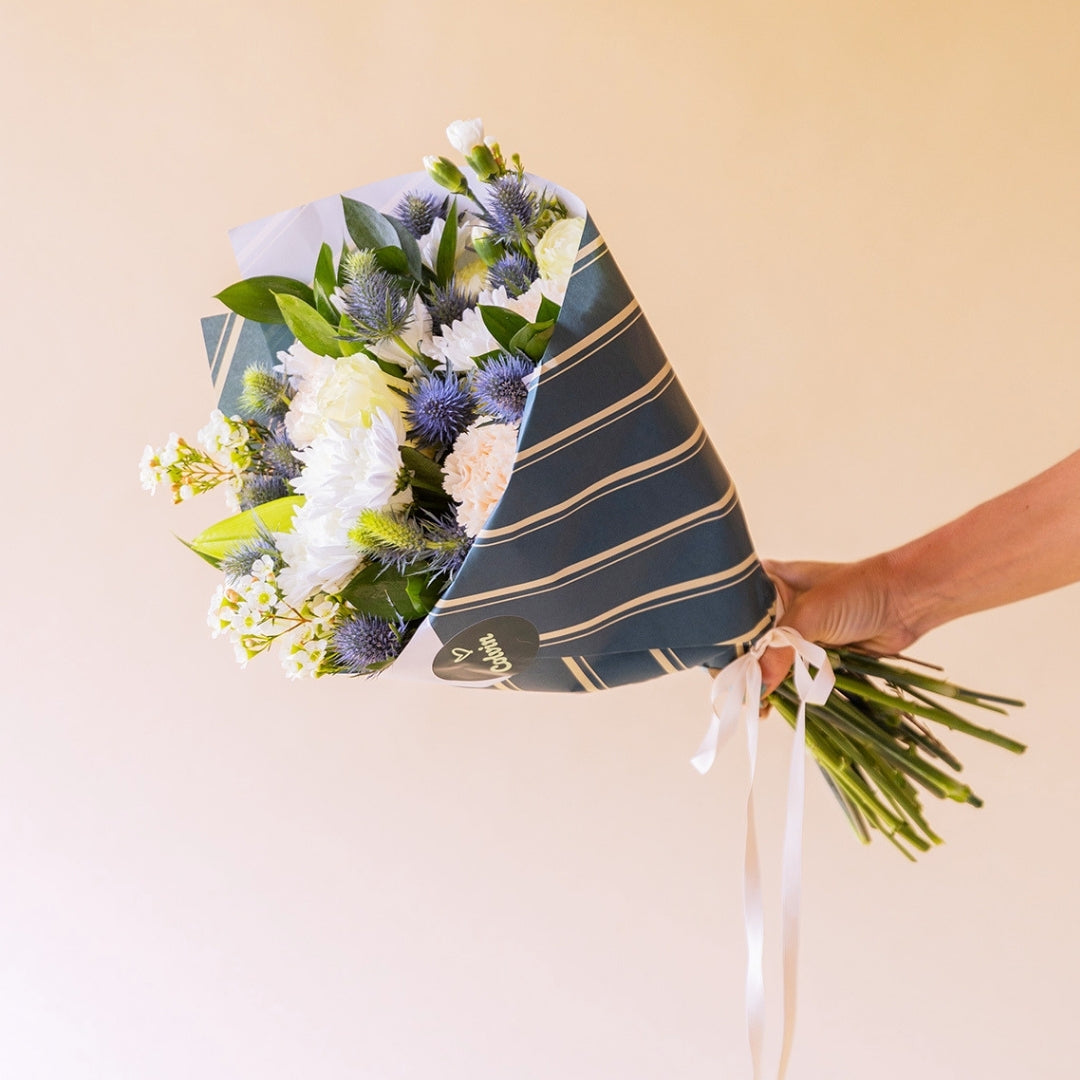Mano sosteniendo ramo de flores blancas Colvin con crisantemo, eryngium y flor de cera en envoltorio de líneas azul