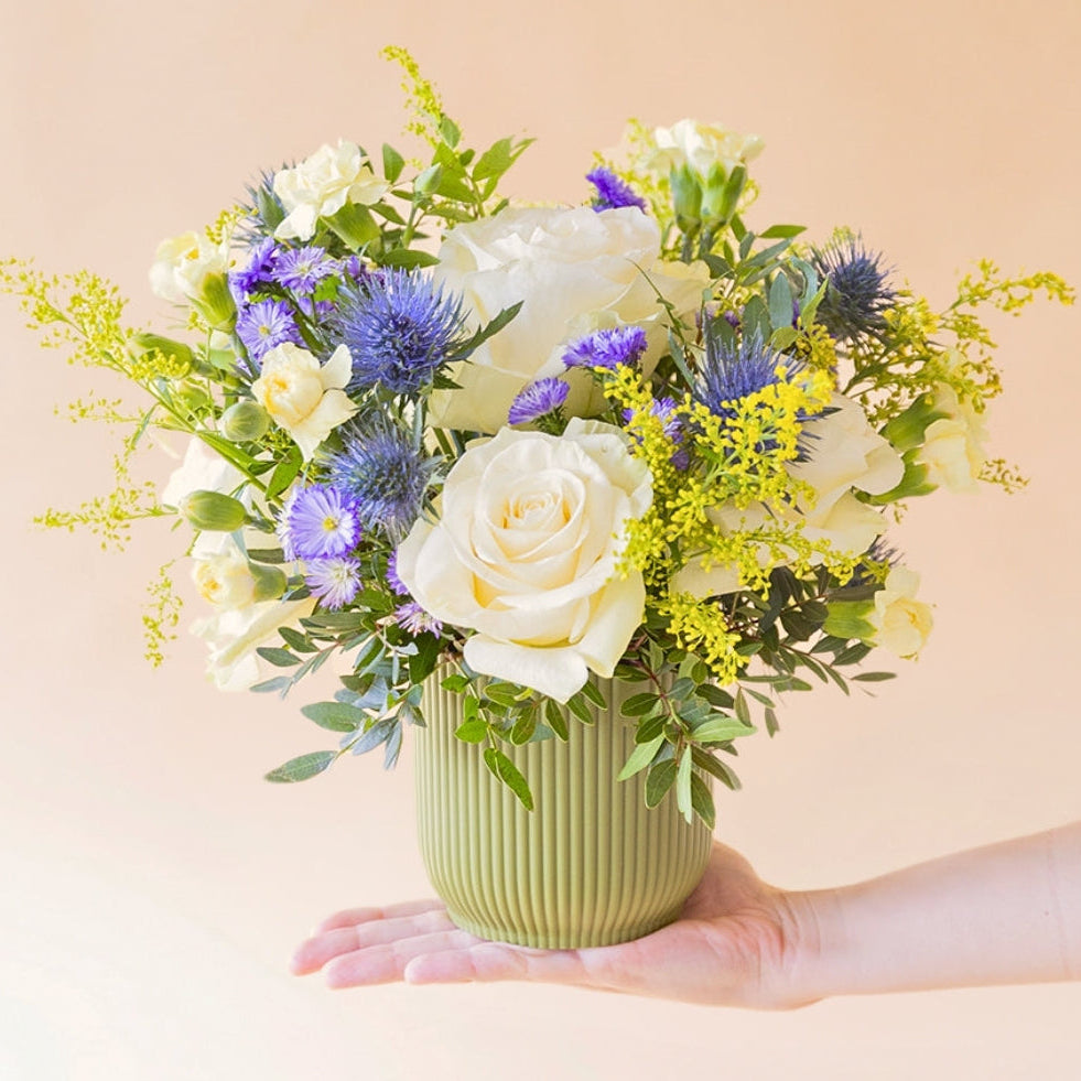 El Mágico - Arreglo floral con rosas crema con base verde oliva presentado sobre una mano
