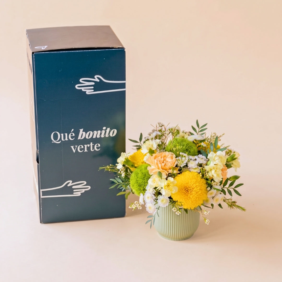 Arreglo floral El Chiringuito con base verde claro junto a la caja de envío de Colvin con el mensaje "Qué bonito verte".
