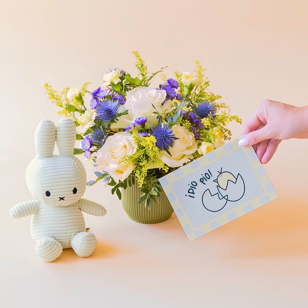 Arreglo de flores frescas El Mágico de Colvin con rosas blancas premium, cardos azules y detalles silvestres en una base estriada verde oliva, junto a un peluche Miffy en pana color verde menta y una mano sosteniendo una tarjeta de nacimiento ilustrada con un pollito y la frase "¡Pío pío!" sobre un fondo crema.