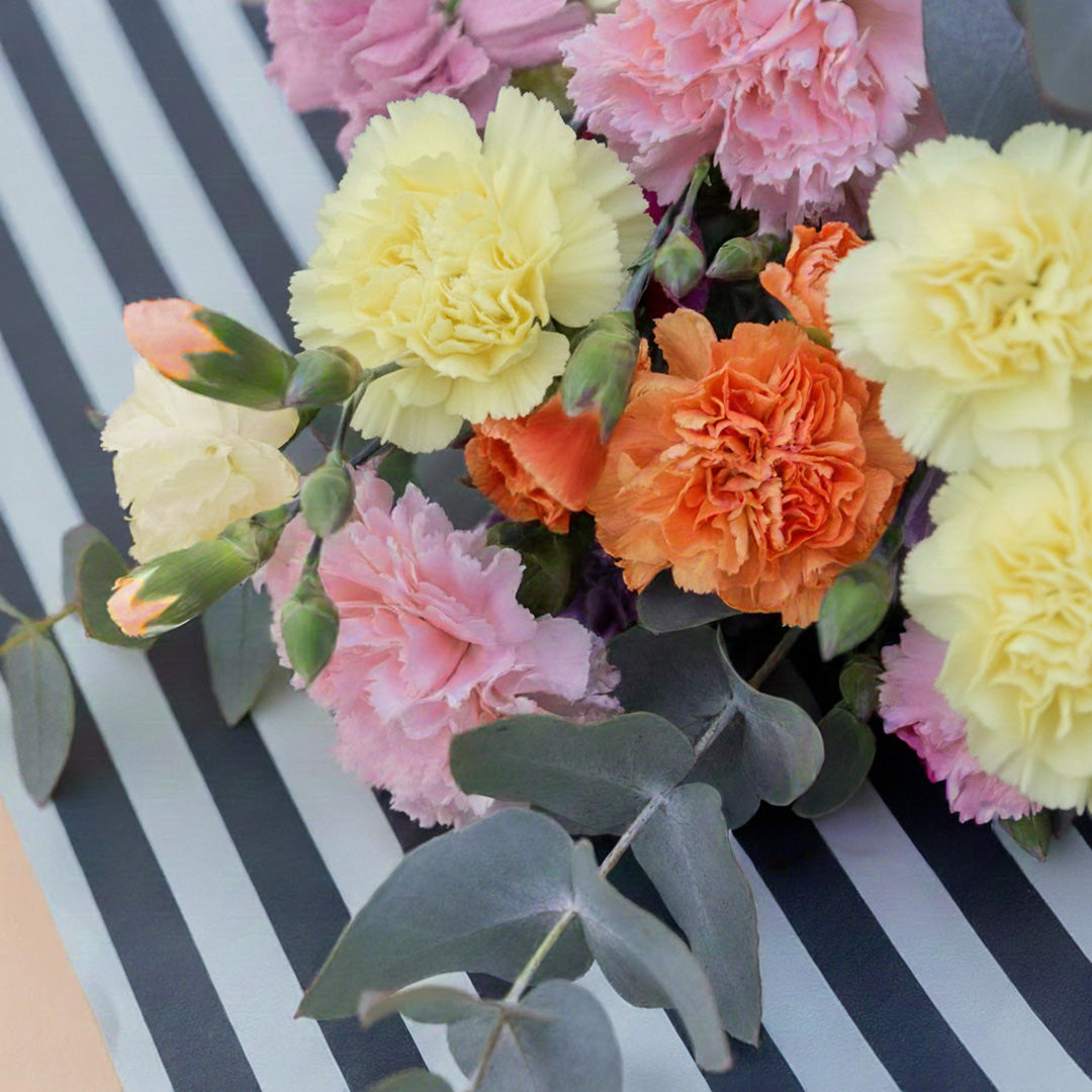 Los Claveles Amarillos - Selección de claveles