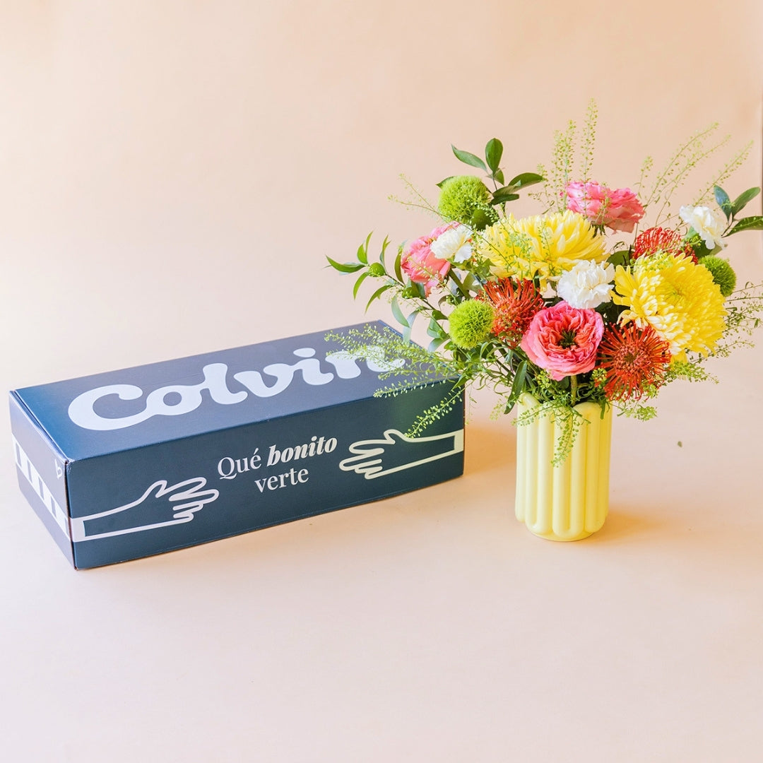Ramo de flores Verbena en un jarrón amarillo junto a la caja de regalo de Colvin con el mensaje "Qué bonito verte".