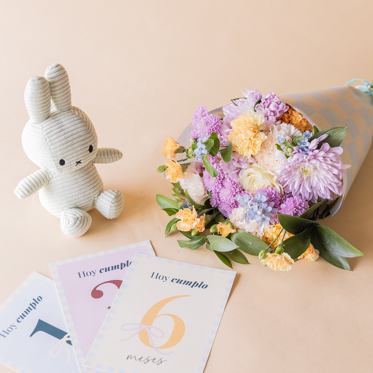 Gift set nacimiento con ramo de flores pastel, Miffy y tarjetas de meses - Colvin