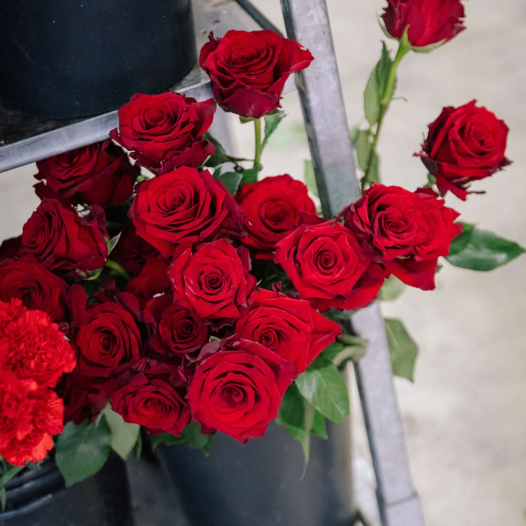 Las Rosas - Selección de rosas de colores