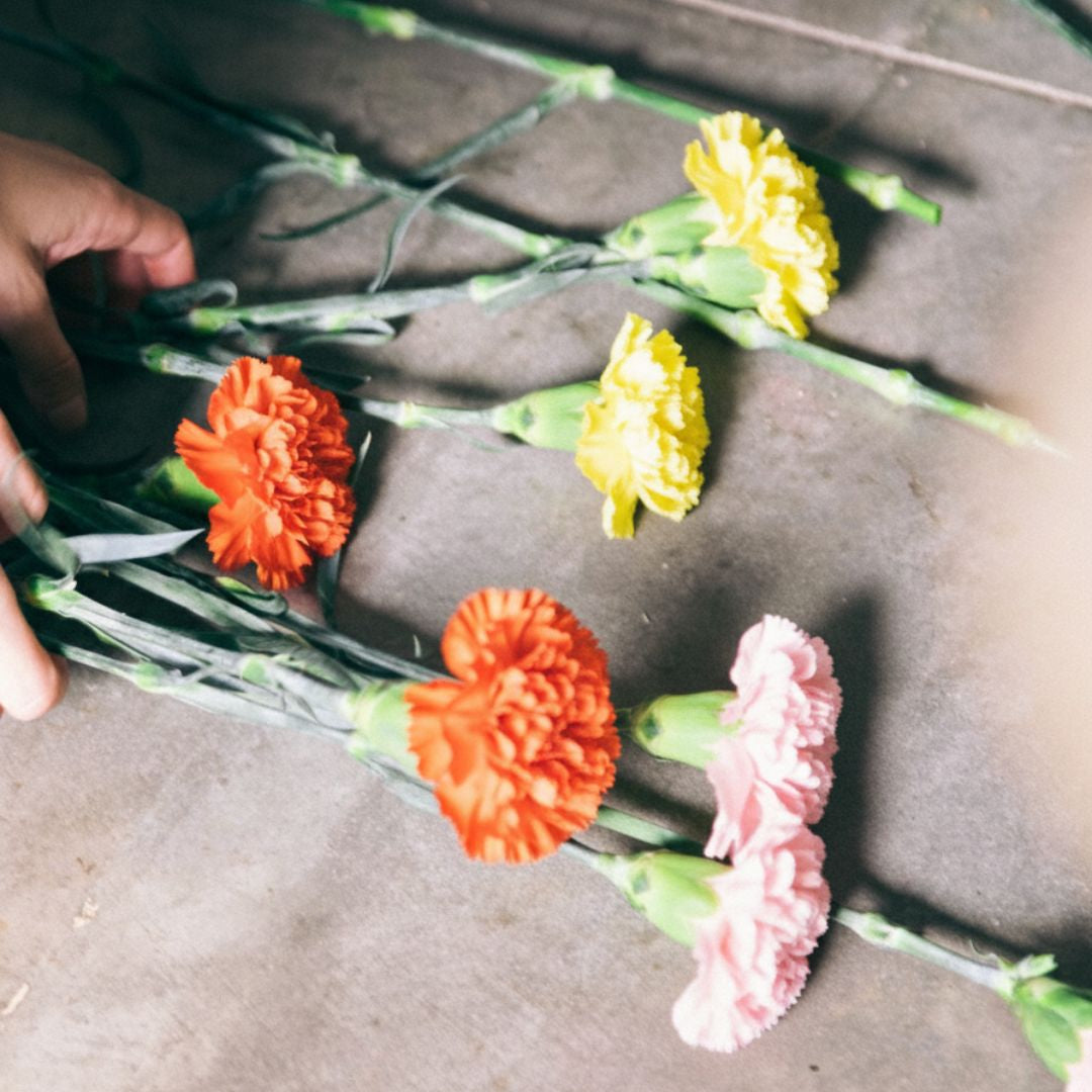 Los Claveles Amarillos - Selección de claveles