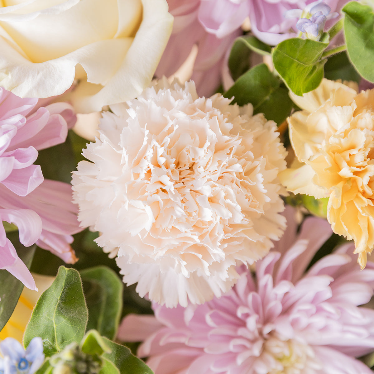 Ramos de flores beige