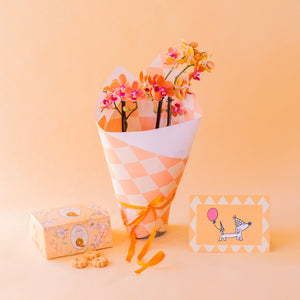 Orquídea naranja cumple con envoltorio, galletas y tarjeta
