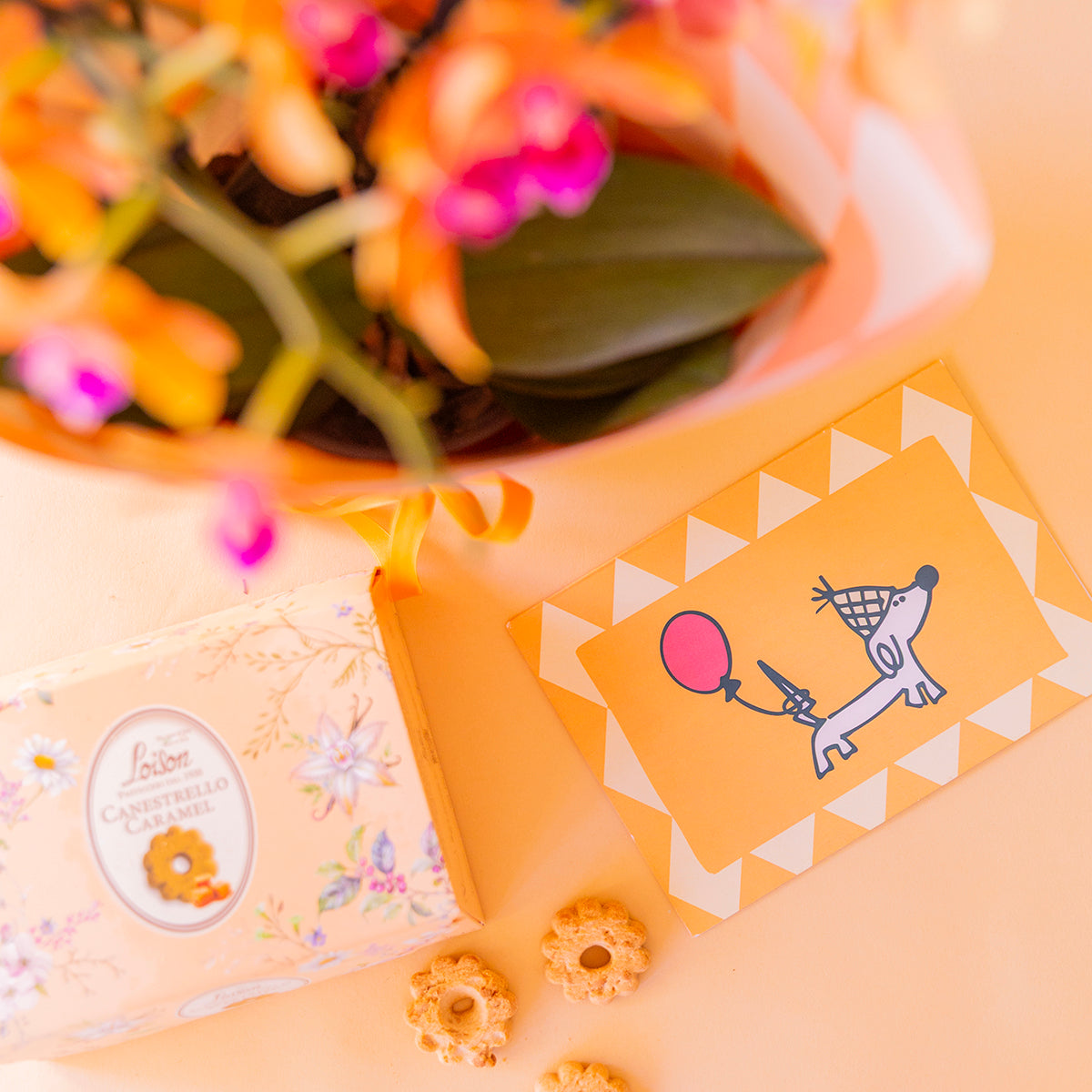 Orquídea naranja cumple con envoltorio, galletas y tarjeta
