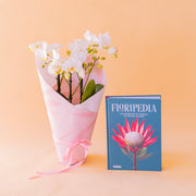 Orquídea Bicolor com Embrulho e Livro Floripedia