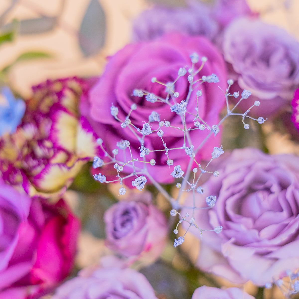 Emily – Ramo de Rosas de Medianoche