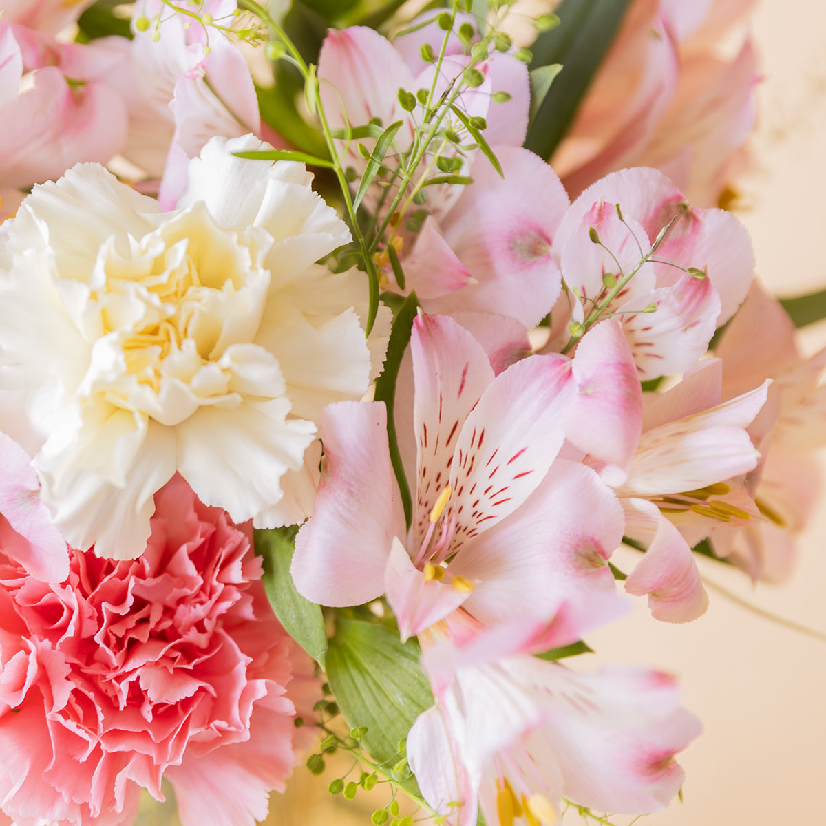 Detalle de flores del ramo: alstroemeria rosa, clavel blanco y clavel rosa de Colvin