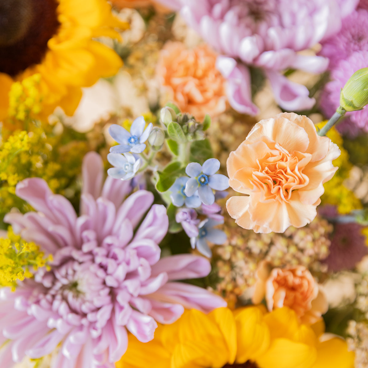 Detalle de flores del ramo: crisantemo lila, clavel melocotón, nomeolvides azul y solidago amarillo