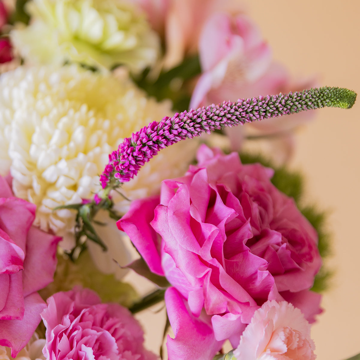 Detalle de flores del ramo: rosa fucsia, clavel rosa, crisantemo blanco y veronica lila de Colvin