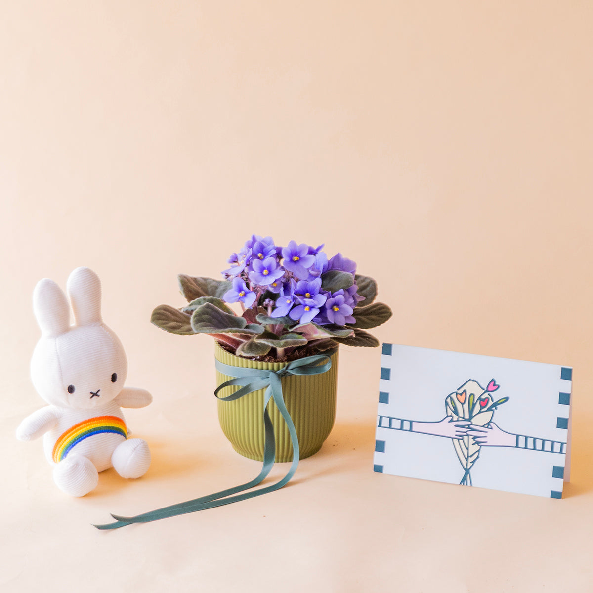 Violeta africana lila en maceta verde con peluche Miffy arcoiris y tarjeta más que flores, regalo a domicilio - Colvin