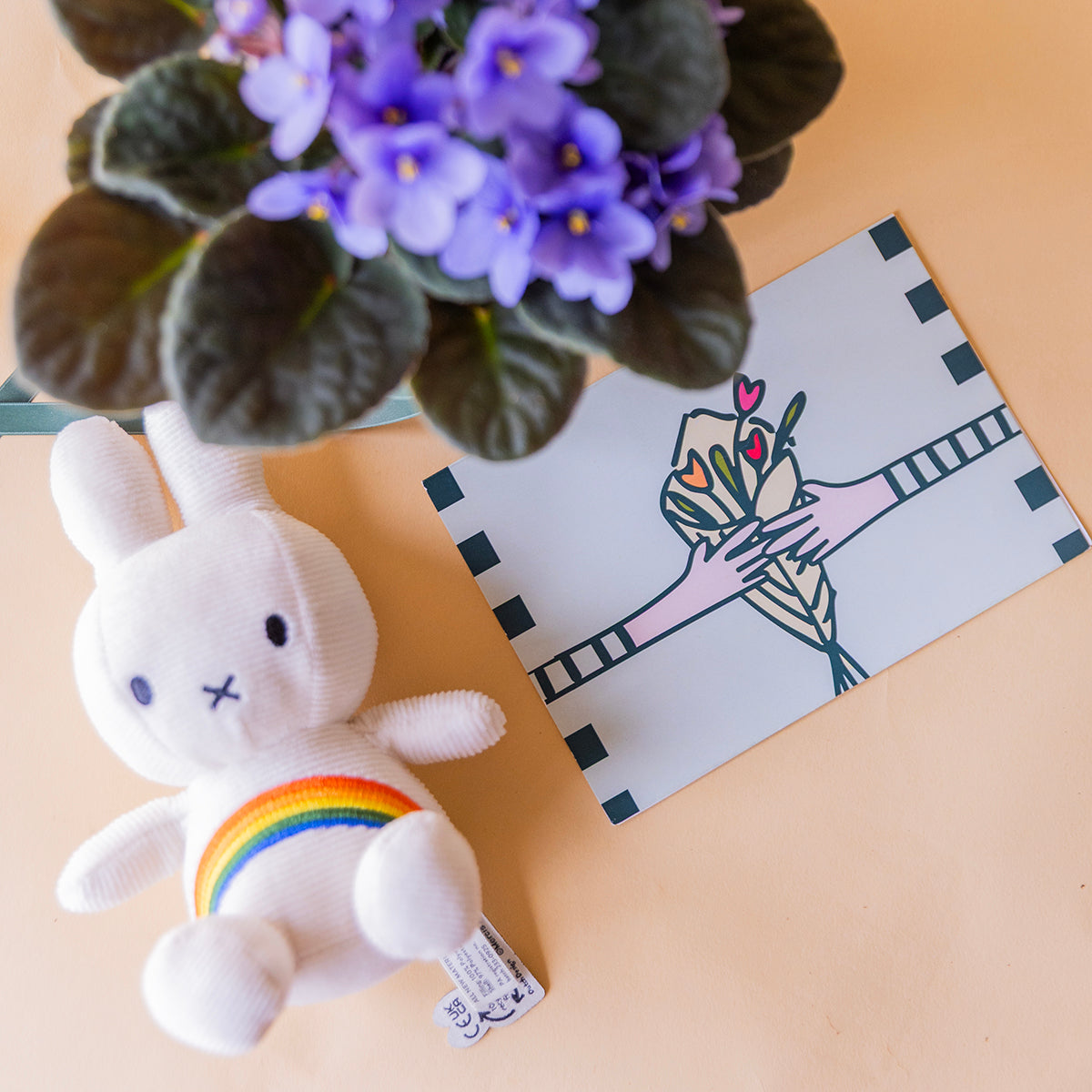 Cenital peluche Miffy arcoiris y tarjeta más que flores junto a violeta africana lila, planta regalo a domicilio - Colvin