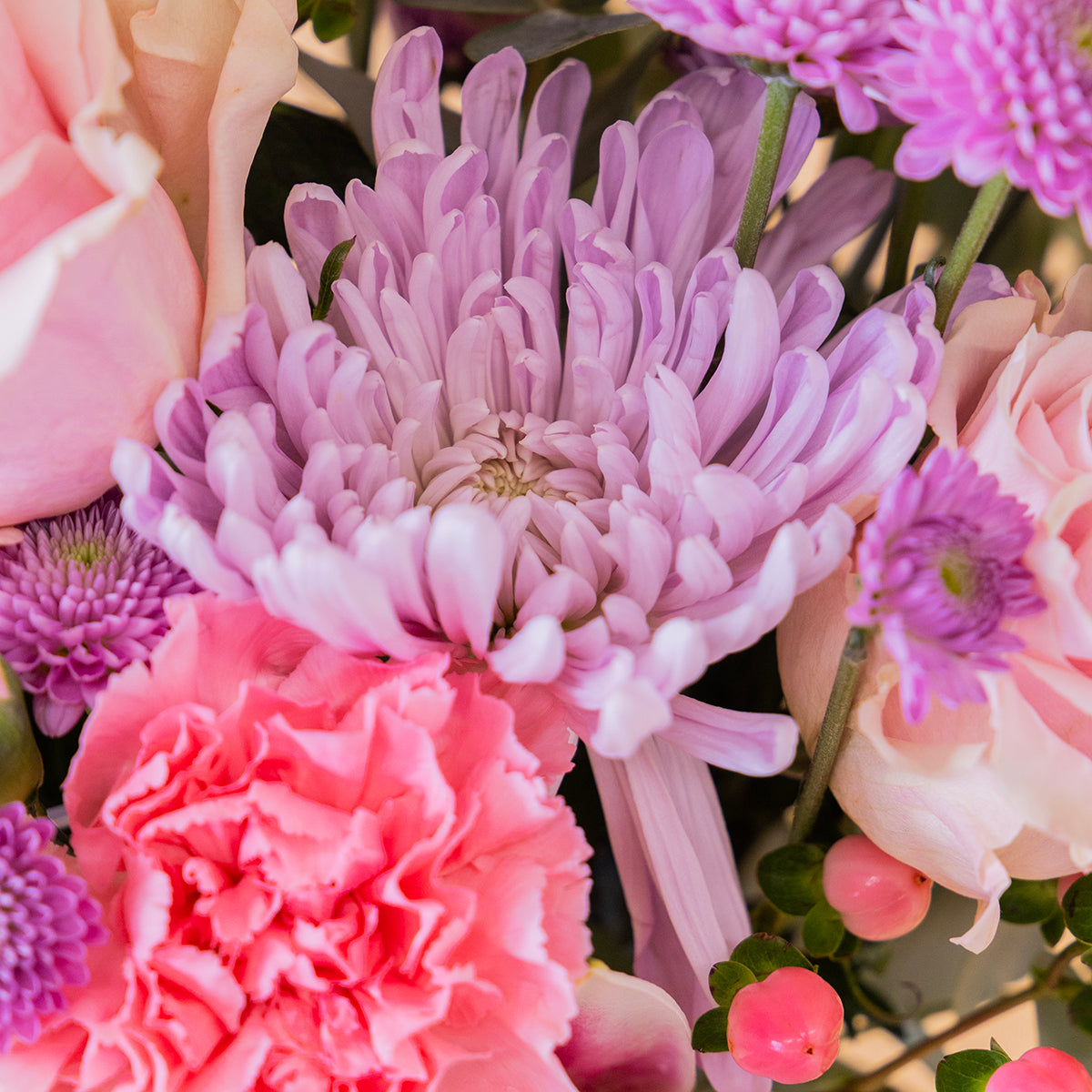 ramo en colores rosas sobre fondo crema