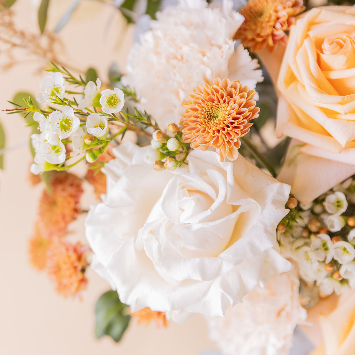 Detalle de rosa blanca, crisantemo naranja y flor de cera del ramo El Champagne — Colvin