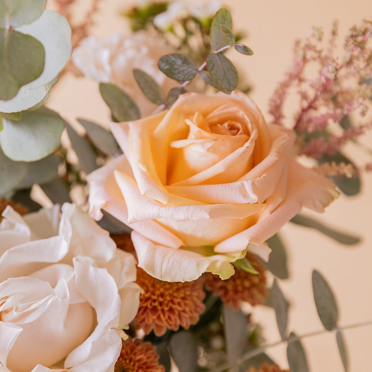 	Detalle de rosa salmón con eucalipto y crisantemos del ramo El Champagne con luz natural — Colvin