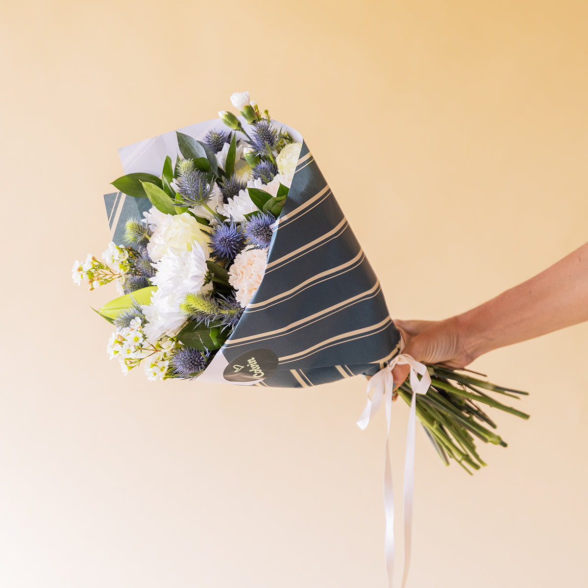 	Mano sosteniendo ramo de flores blancas de Colvin envuelto en papel a rayas azul con lazo blanco, sobre fondo melocotón
