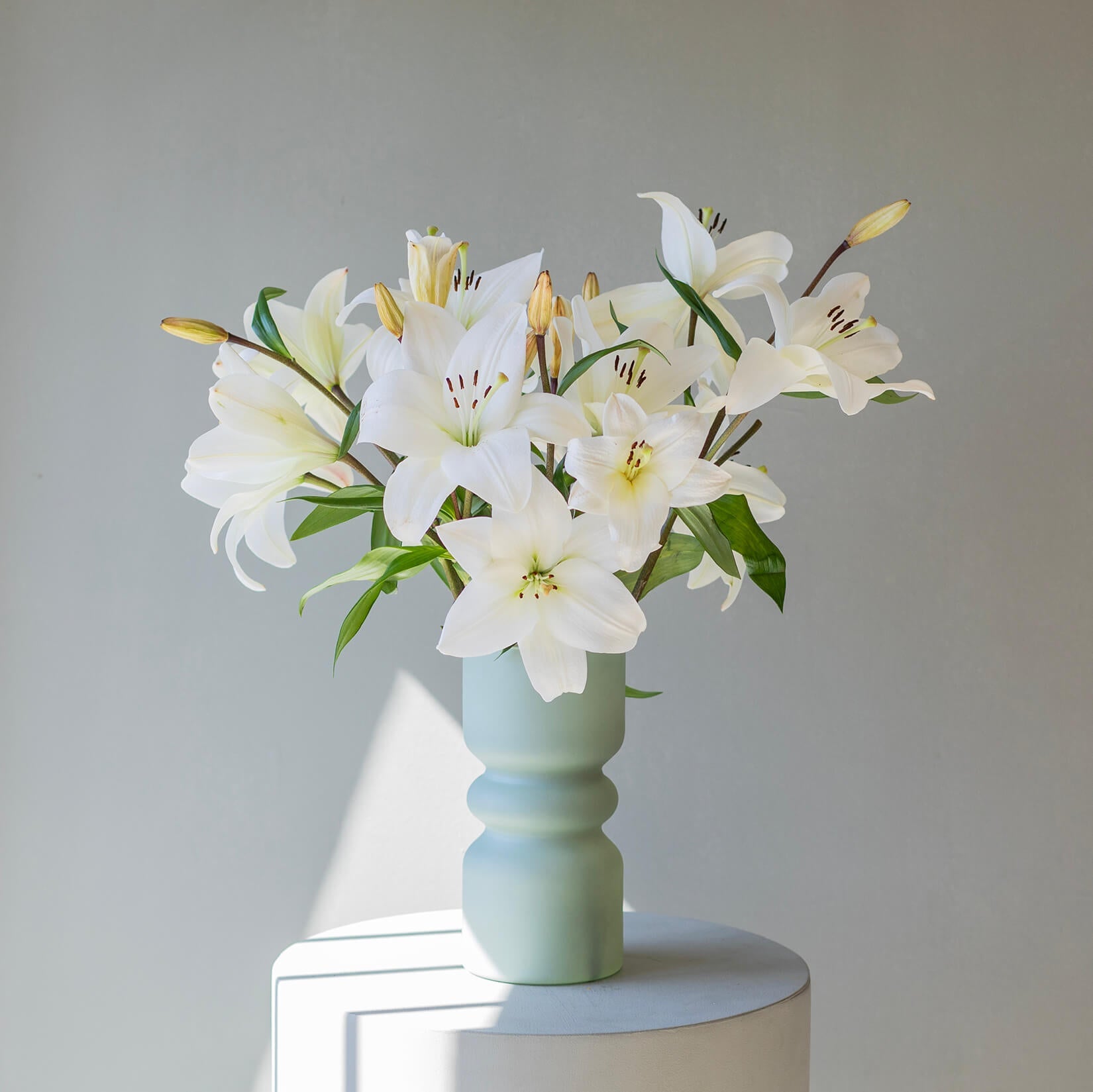 Crea la suscripción de regalo