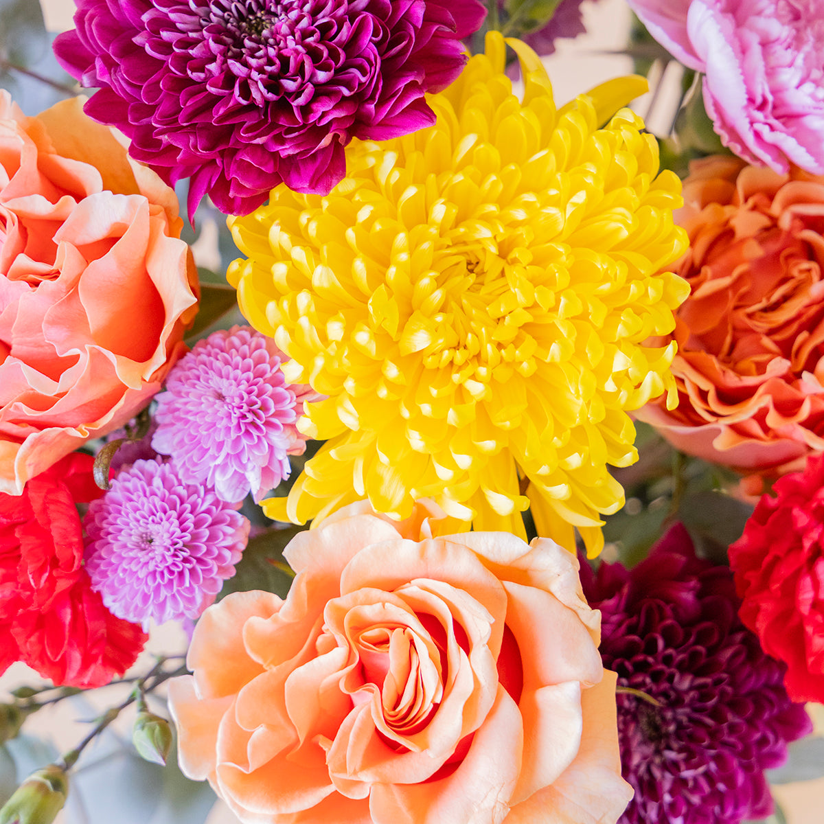 Ramo de flores coloridas sobre fondo crema.