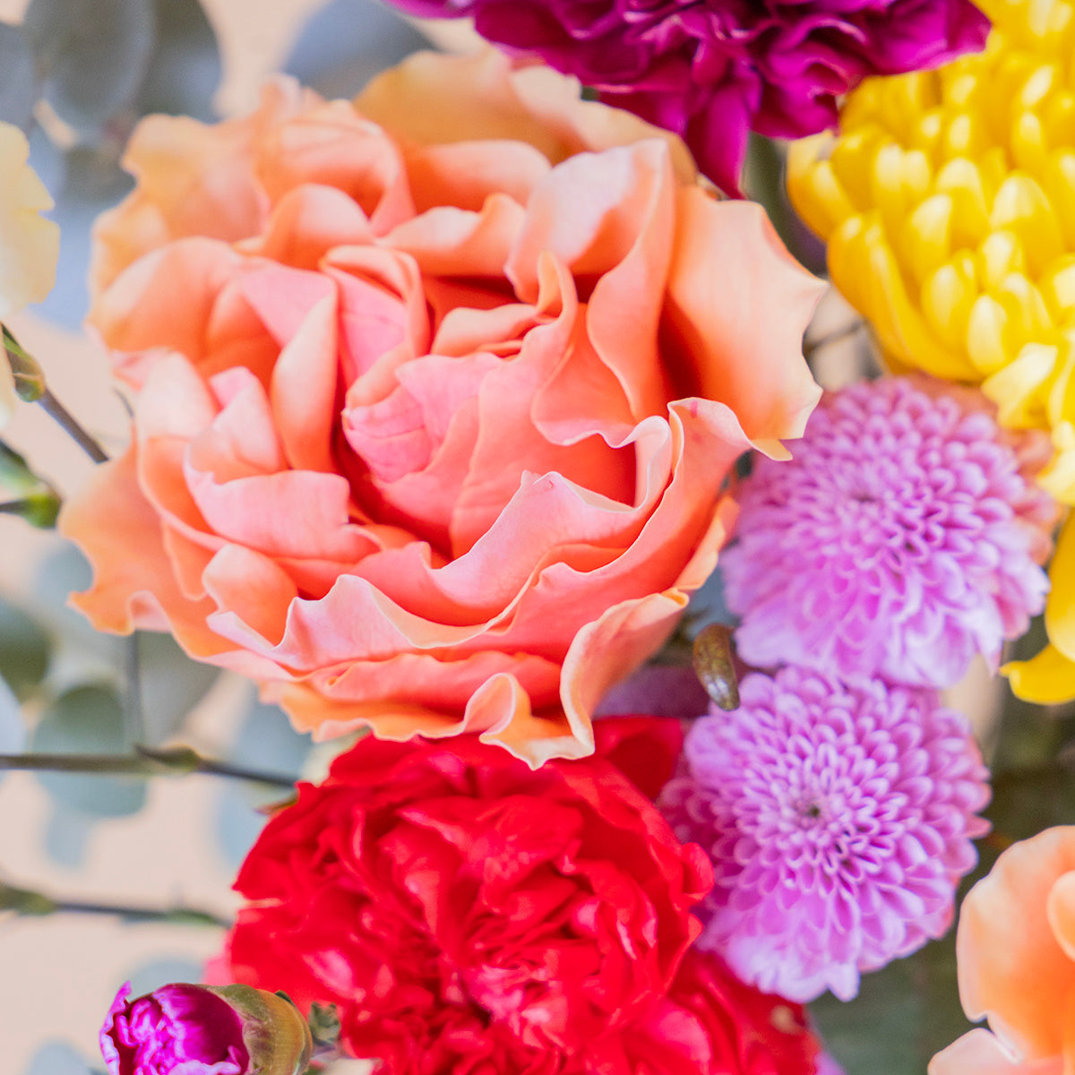Ramo de flores coloridas sobre fondo crema.