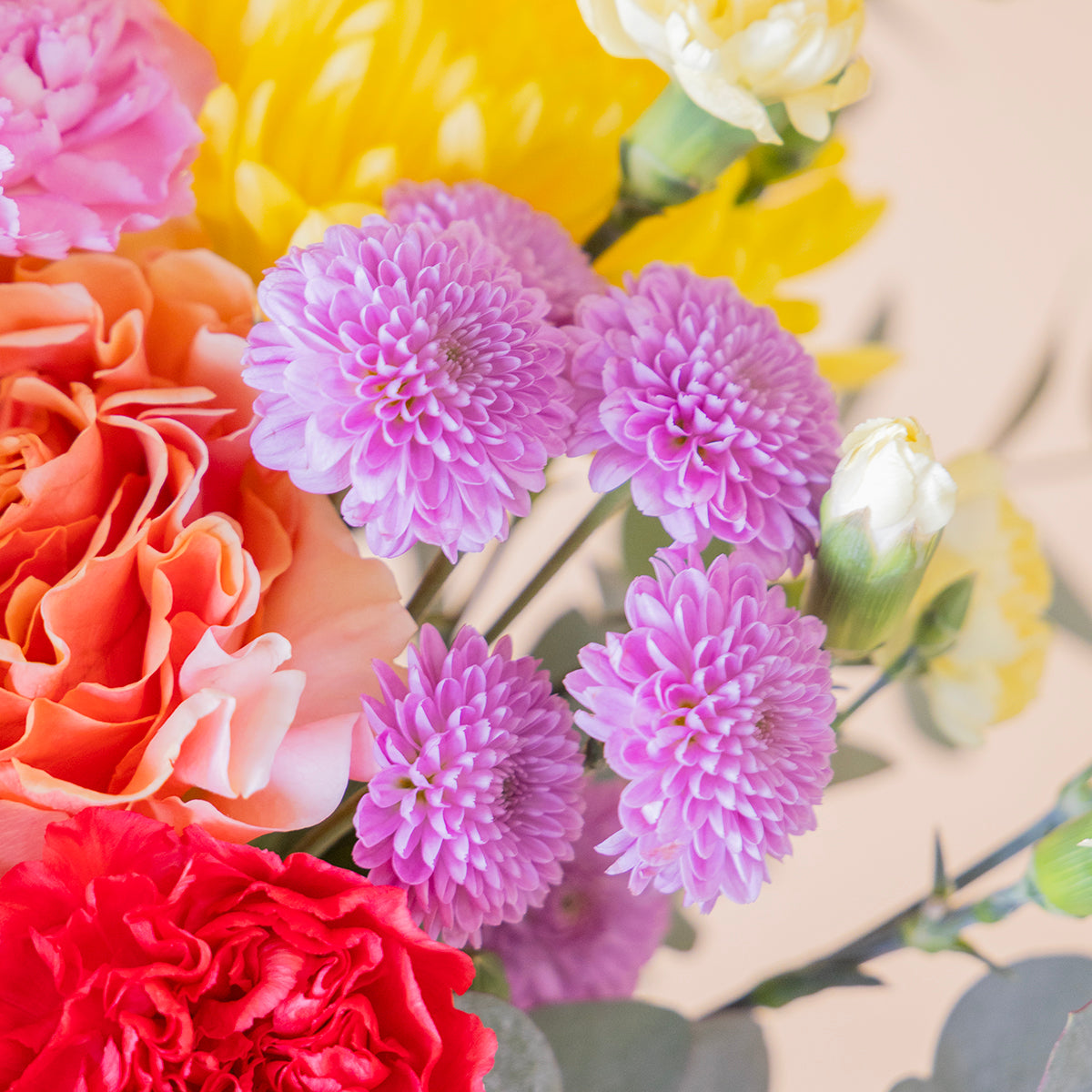 Ramo de flores coloridas sobre fondo crema.