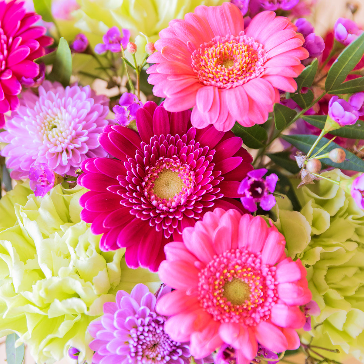Detalle del arreglo floral mini Colvin con gerberas fucsia y rosa, claveles verdes y flores silvestres lila en primer plano