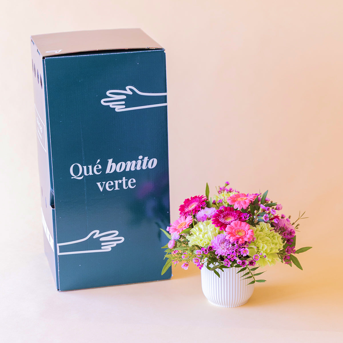 Arreglo floral mini Colvin con gerberas fucsia, claveles verdes y flores lilas en maceta junto a caja regalo "Qué bonito verte"