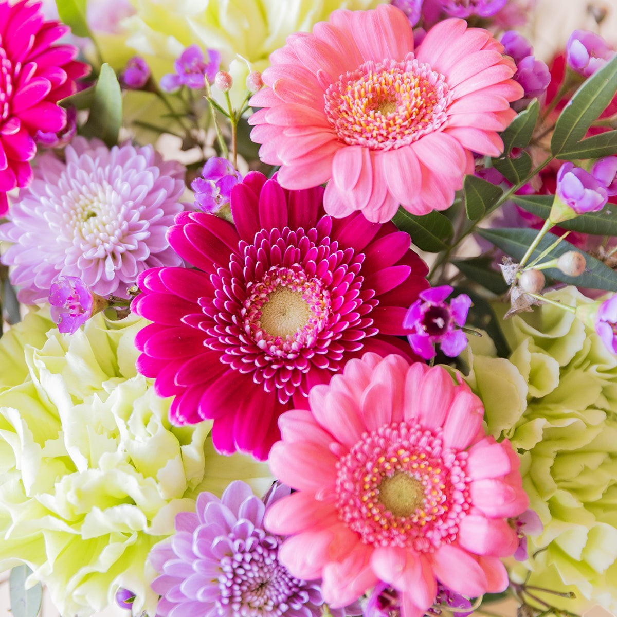 Arreglo floral mini Colvin con gerberas fucsia y rosa, claveles verdes y flores silvestres lila en primer plano