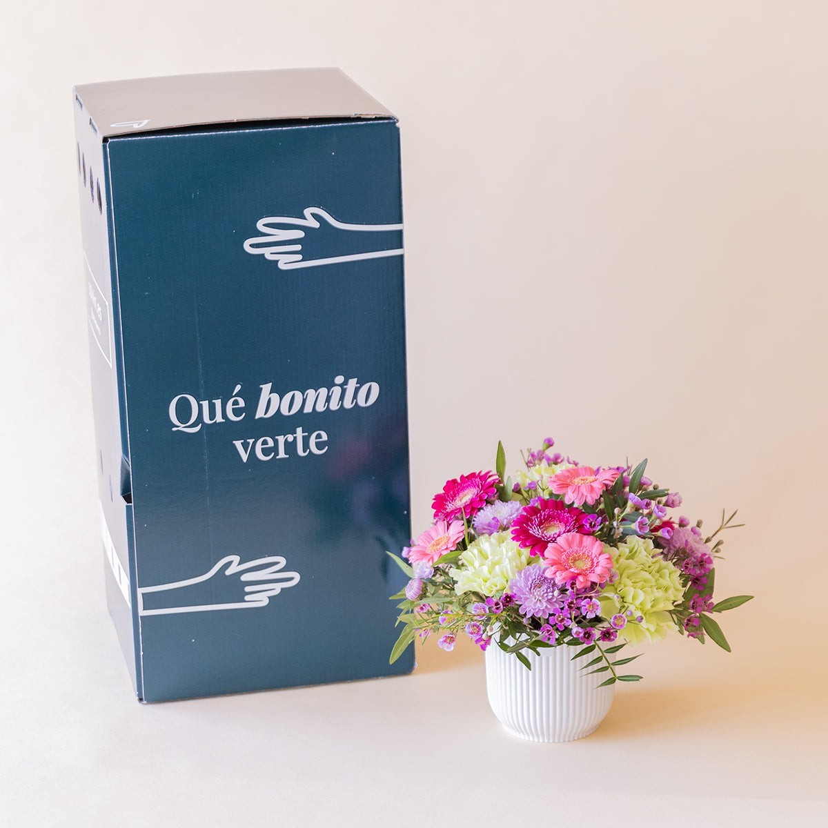 Arreglo floral mini Colvin con gerberas fucsia, claveles verdes y flores lilas en maceta junto a caja regalo