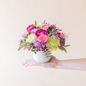 Arreglo floral mini Colvin con gerberas fucsia, claveles verdes y flores silvestres lilas en maceta  estriada.