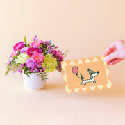 Arreglo floral mini Colvin con gerberas fucsia, crisantemos lilas y claveles verdes en maceta blanca junto a tarjeta de cumpleaños con perrito salchicha