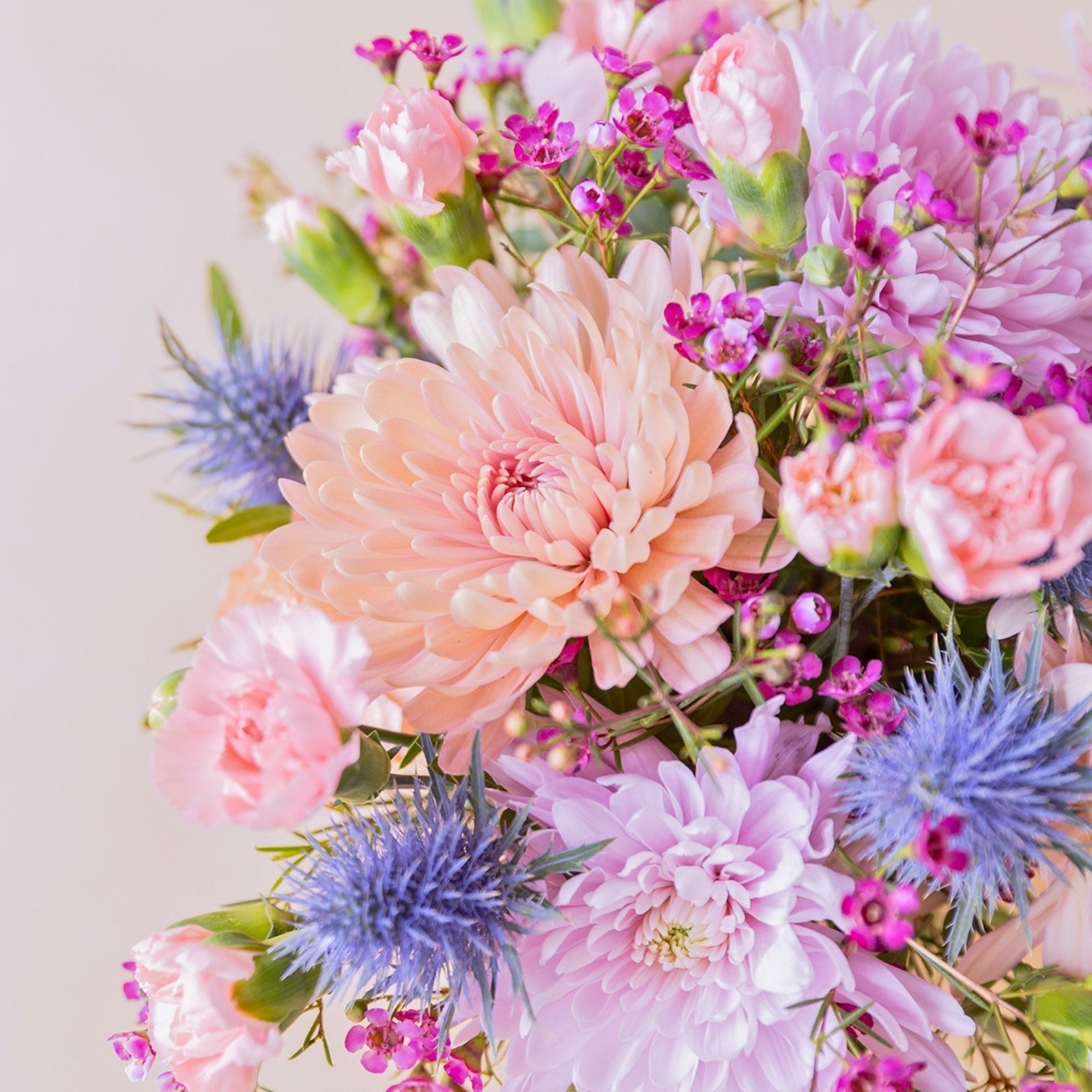 Arreglo floral Colvin con crisantemos malva, claveles rosas y cardos azules en un jarrón rosa para regalo especial.