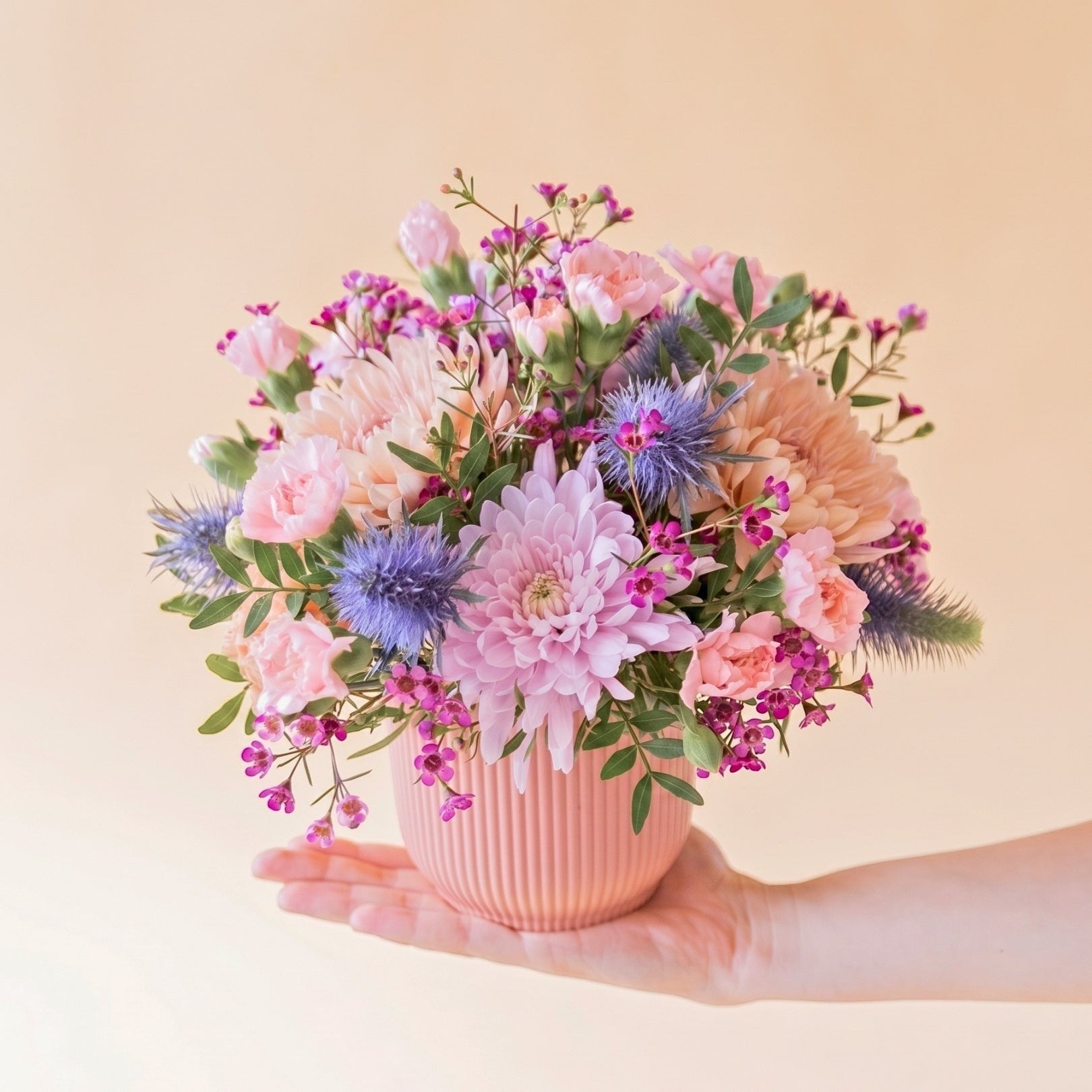 Arreglo floral Colvin con crisantemos malva, claveles rosas y cardos azules en maceta estriada rosa sobre mano