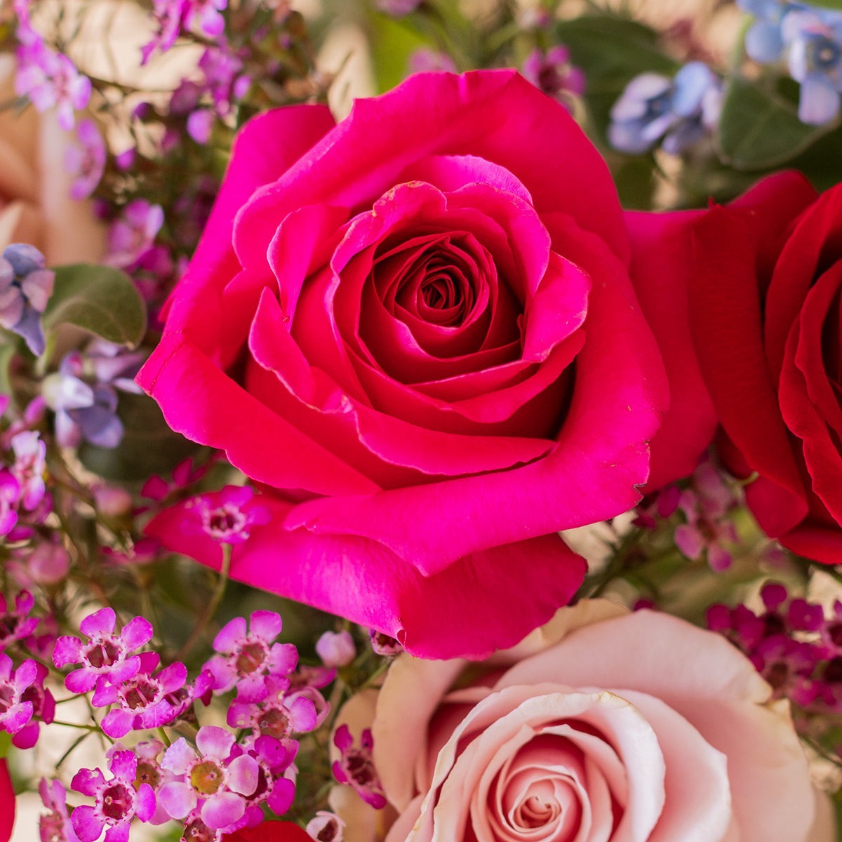 Ramo de rosas de colores Colvin con flores fucsia y rosas envuelto en papel kraft crema para regalo
