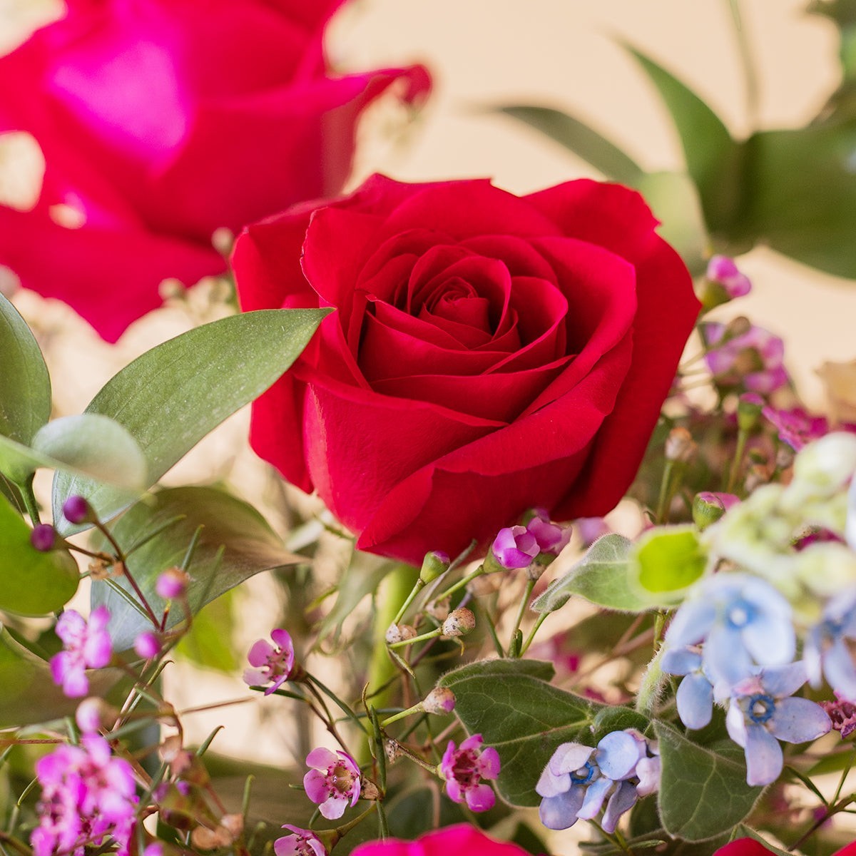 Ramo de rosas rojas y flores variadas de Colvin envuelto en papel kraft, ideal para regalo.