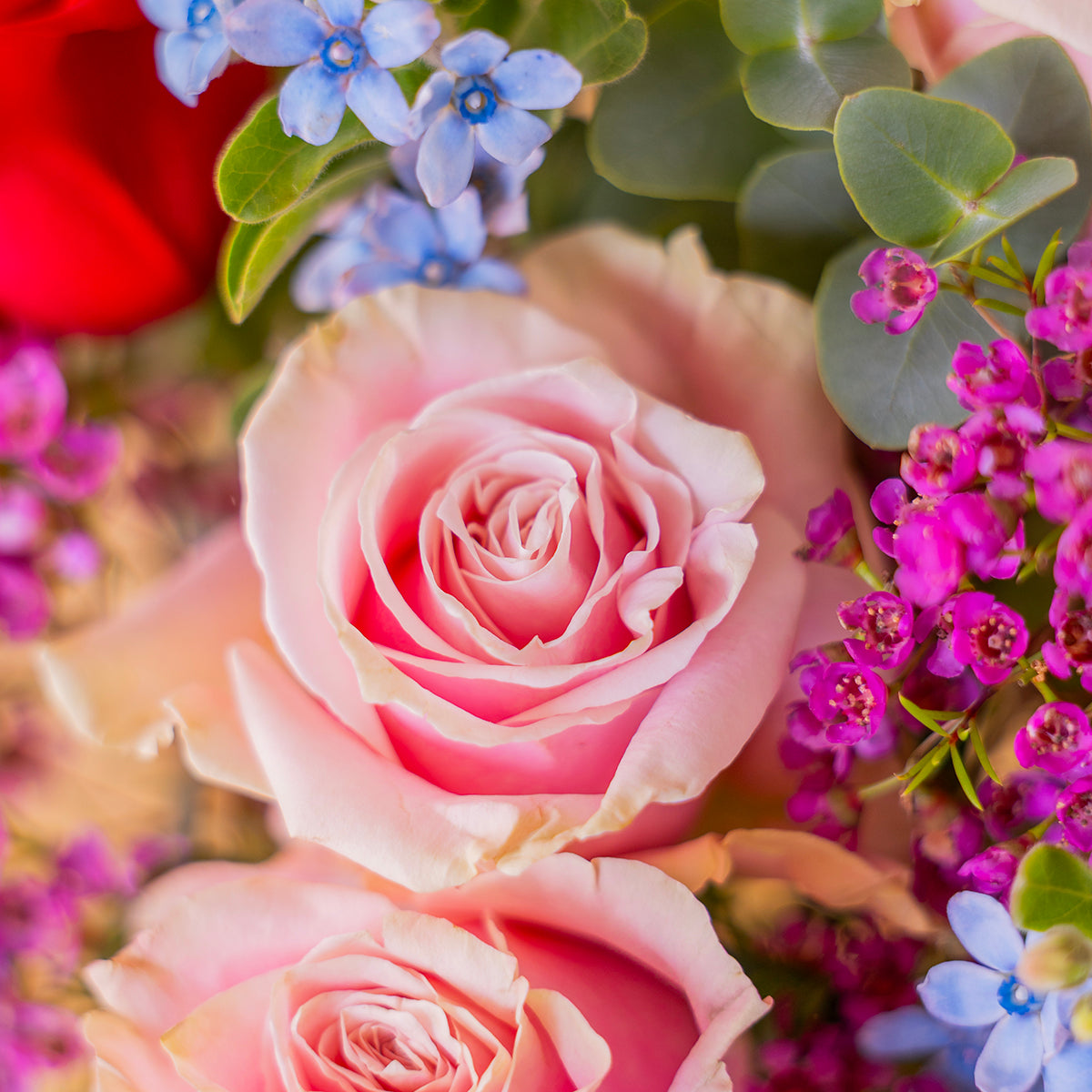 Ramo encanto con rosas de colores  y flores silvestres sobre fondo crema