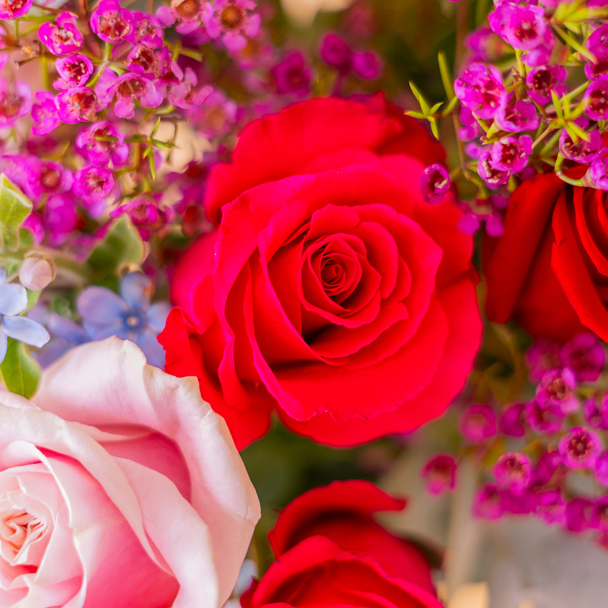 Ramo encanto con rosas de colores  y flores silvestres sobre fondo crema