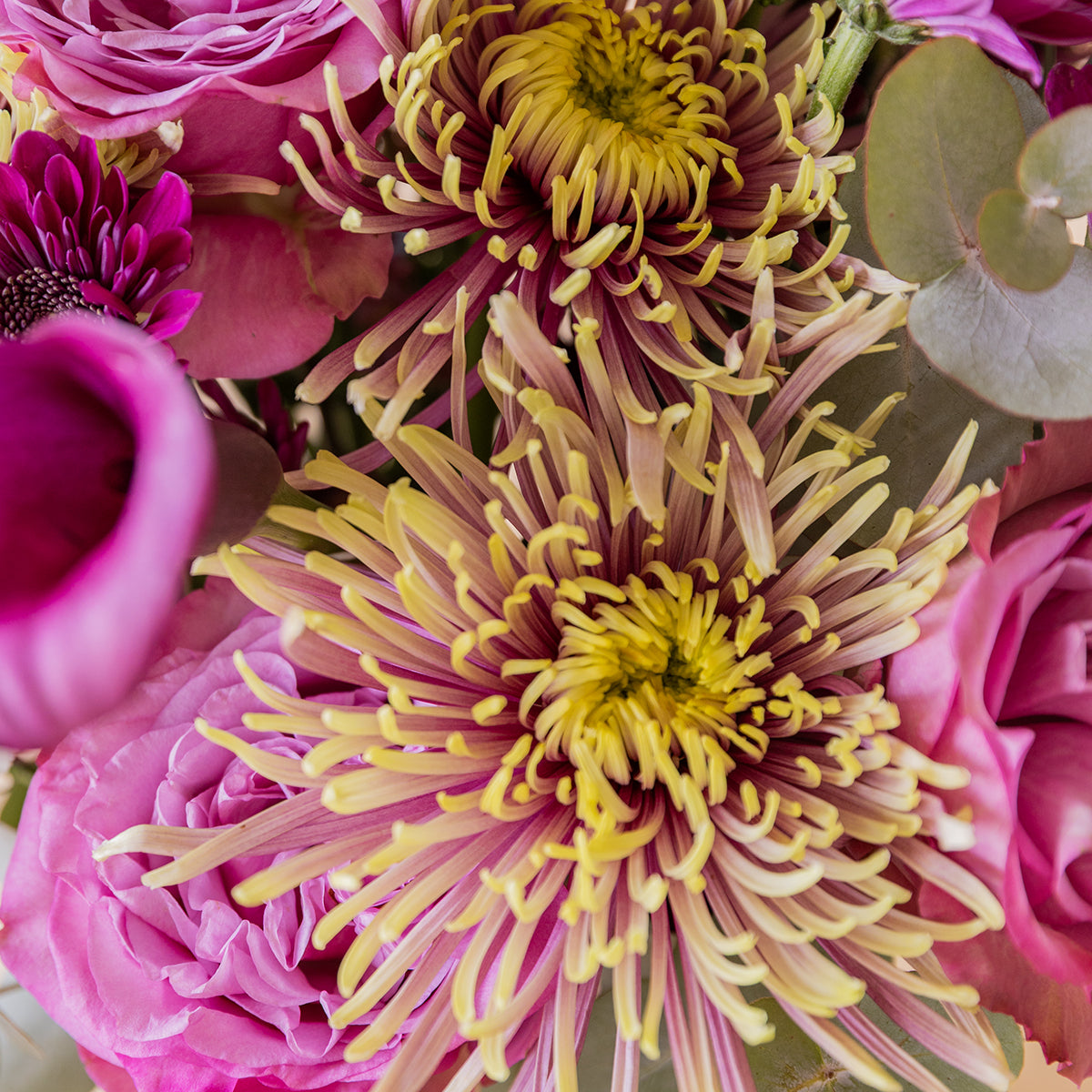 Detalle de crisantemos bicolor malva y amarillo con rosas del ramo Euforía — Colvin